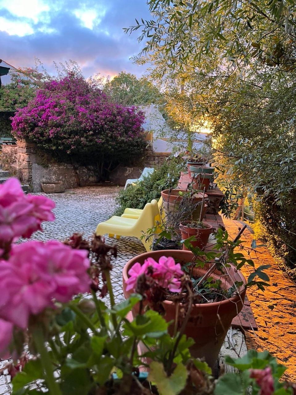 Alvorninha Quinta Laranja - Turismo Rural - מראה חיצוני תמונה