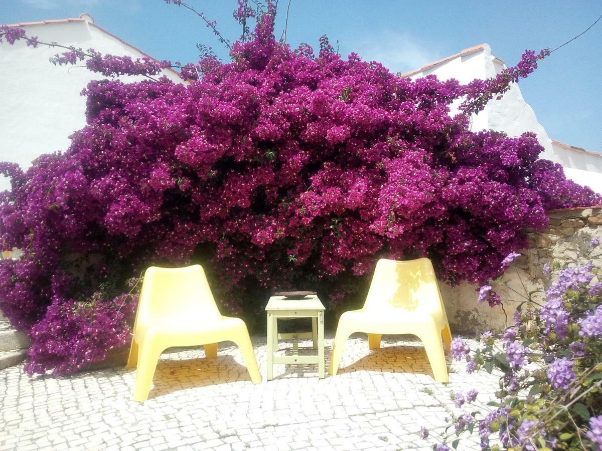 Alvorninha Quinta Laranja - Turismo Rural - מראה חיצוני תמונה