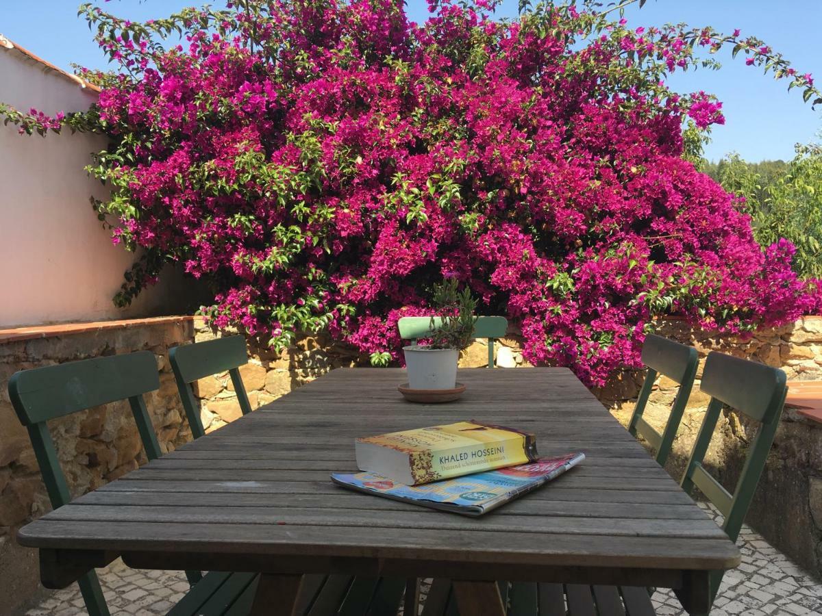 Alvorninha Quinta Laranja - Turismo Rural - מראה חיצוני תמונה